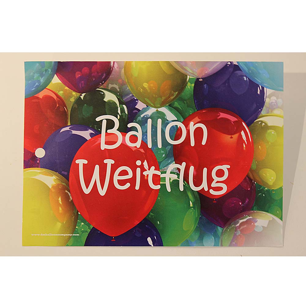 10 Flugkarten Bunte Luftballons